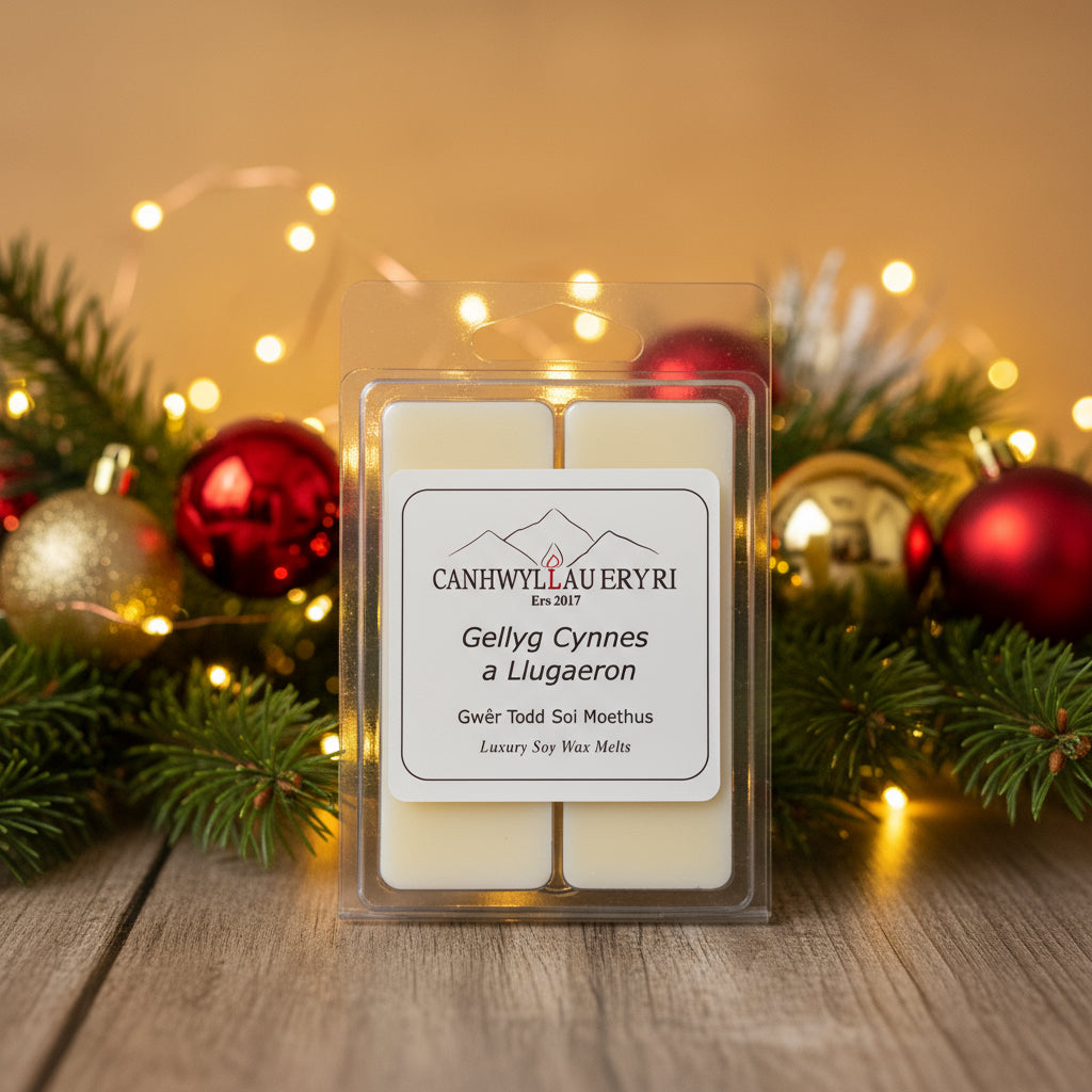 Christmas Soy Wax Melts
