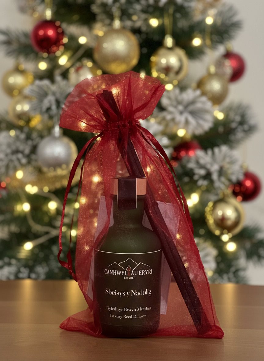 Christmas Diffuser 50ml